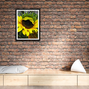 Bright Sunflower by Barbara Storey 