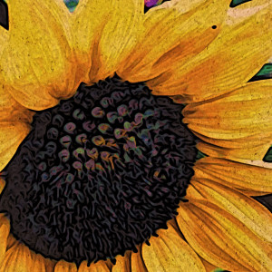 Sunflower, Japanese Woodcut Style by Barbara Storey 