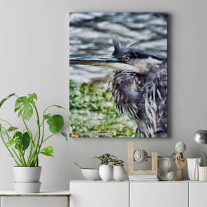 Windblown Heron by Barbara Storey 