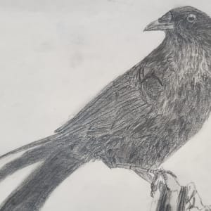The Crow by Naomi Downing-Sherer