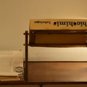 Lehninger: Biochemie