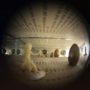 Lehninger: Biochemie