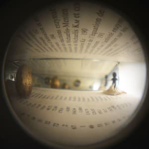 Lehninger: Biochemie