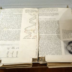 Lehninger: Biochemie