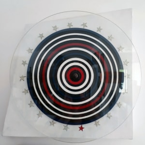 Bull's Eye Flag - After Jasper Johns by Ber Lazarus 