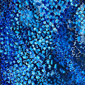 Marine Blue by Kathleen Kane-Murrell