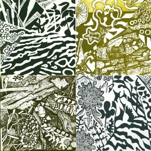 Saunter by diane cionni