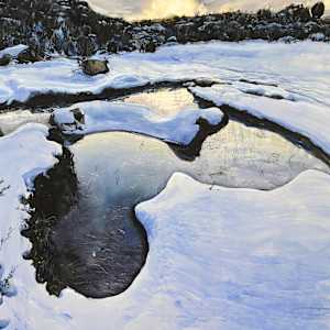 Harmony in Season by Phillip Edwards