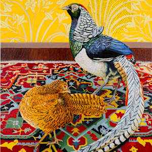 The Courtship - Lady Amherst Pheasants by Fiona Smith