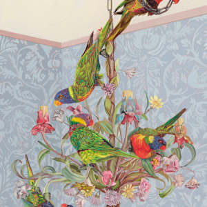 Party lights - Rainbow Lorikeets by Fiona Smith