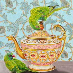 scaly breasted lorikeets by Fiona Smith