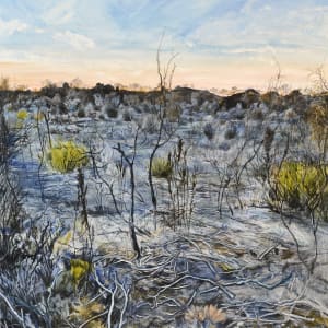 Ethereal Morning by Phillip Edwards