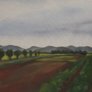 Yolo Farmland with Hills by Roger Ewers