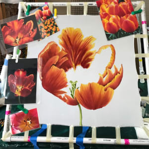Parrot Tulip Revealed  Image: This is how it is done. 