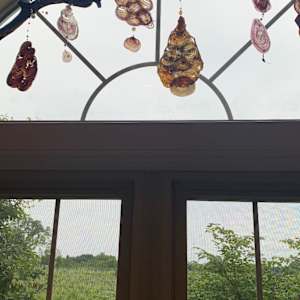 Grapevine One by Nanci Hersh