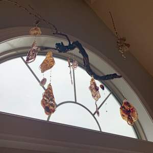 Grapevine, too. by Nanci Hersh