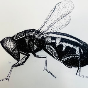 La Mosca 2 by Diego Herrera