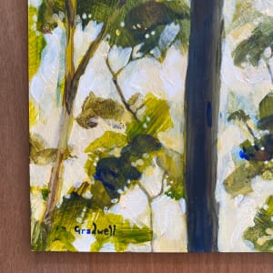 Evening Canopy II by Kate Gradwell  