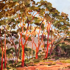 Summer Bark Fall by Kate Gradwell, Image 1.