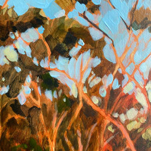 Autumn Glory by Kate Gradwell 