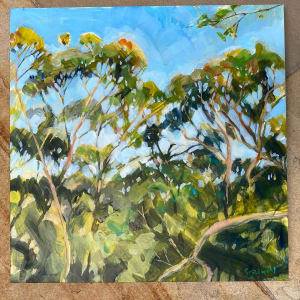 Lost in the Treetops, Image 2.