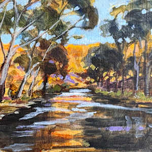 Afternoon by the Goobarragandra by Kate Gradwell 