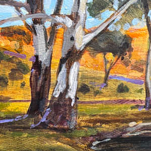 Afternoon by the Goobarragandra by Kate Gradwell 