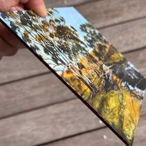 Afternoon by the Goobarragandra by Kate Gradwell 