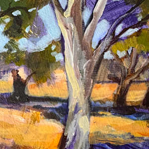 Flinders Gum Study by Kate Gradwell 