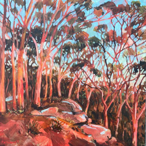 Angophora Glow by Kate Gradwell 