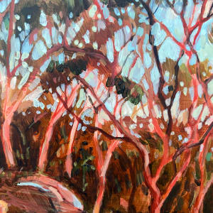 Angophora Glow by Kate Gradwell 