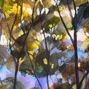 We Walk This World by Kate Gradwell 