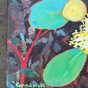 Mallee Bloom by Kate Gradwell 