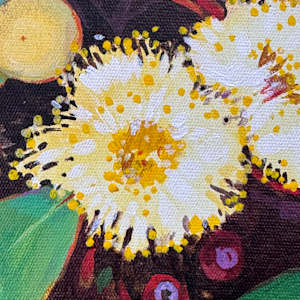 Mallee Bloom by Kate Gradwell 