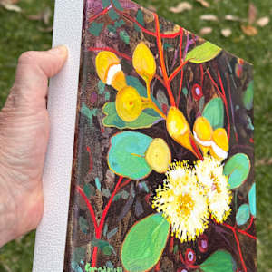 Mallee Bloom by Kate Gradwell 