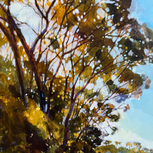 The View From View by Kate Gradwell 