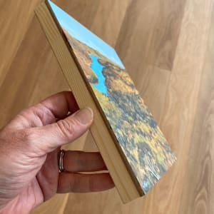 The Lungs of the City by Kate Gradwell 