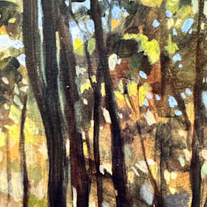 Forest Serenity by Kate Gradwell 