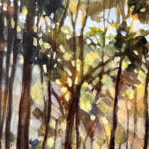 Forest Serenity by Kate Gradwell 