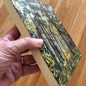 Forest Serenity by Kate Gradwell 