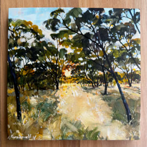 Prize by Kate Gradwell 