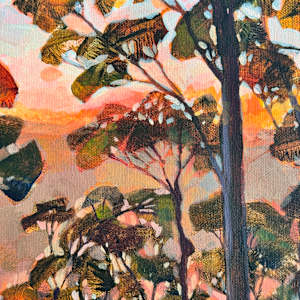 Middle Harbour Glow by Kate Gradwell, Image 6.