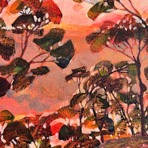 Middle Harbour Glow by Kate Gradwell, Image 5.