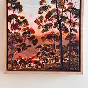 Middle Harbour Glow by Kate Gradwell, Image 2.