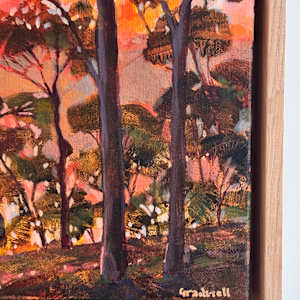 Middle Harbour Glow by Kate Gradwell, Image 4.