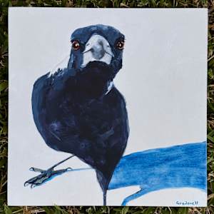 A Little Close For Comfort by Kate Gradwell