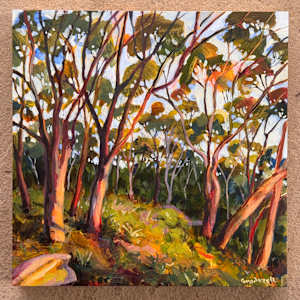 Bush Reverie by Kate Gradwell 