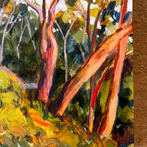 Bush Reverie by Kate Gradwell 
