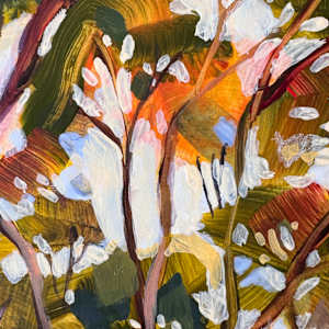 Bush Reverie by Kate Gradwell 