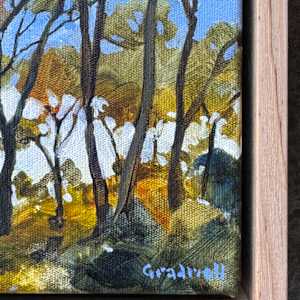 Whispering Trees, Dancing Reflections by Kate Gradwell 